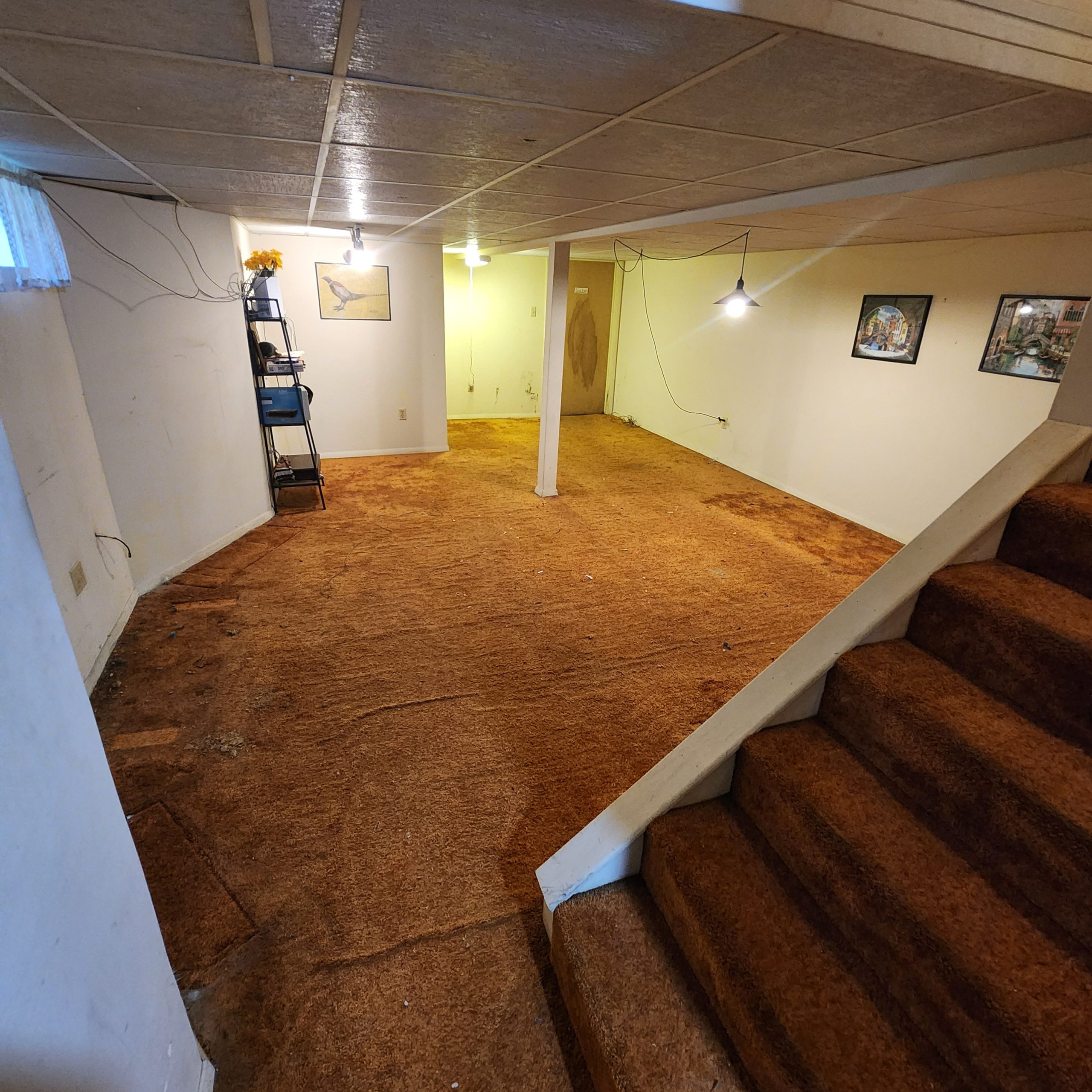 A clear basement